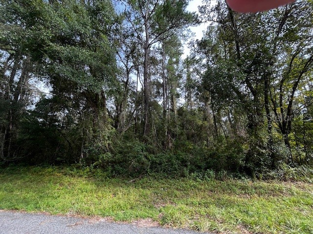 552 E Caldwell Drive Dunnellon FL 34434 O6384149 image2