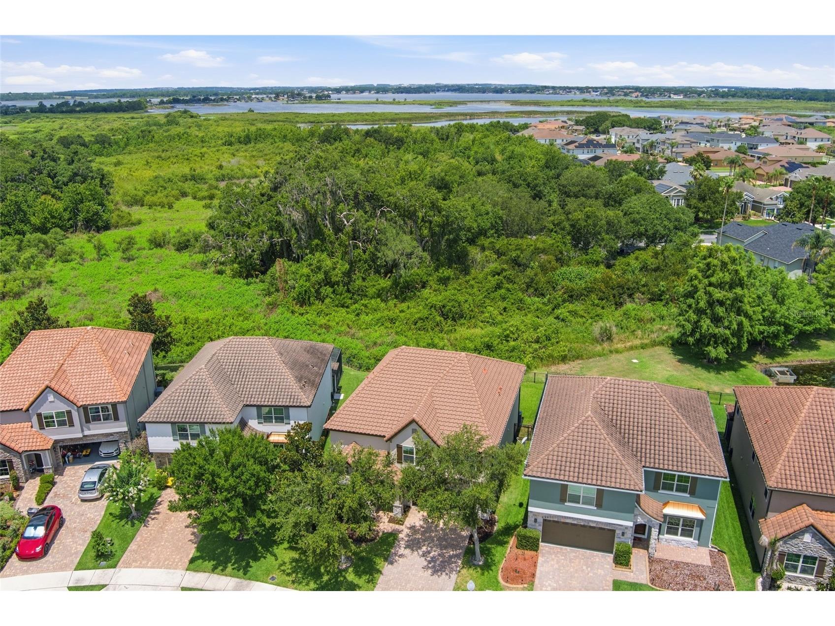 552 Egret Place Drive Winter Garden FL 34787 O6416734 image31
