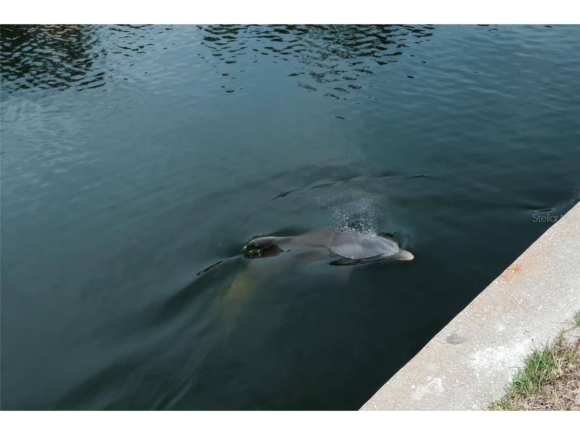 552 Juan Anasco Drive Longboat Key FL 34228 A4642654 image46