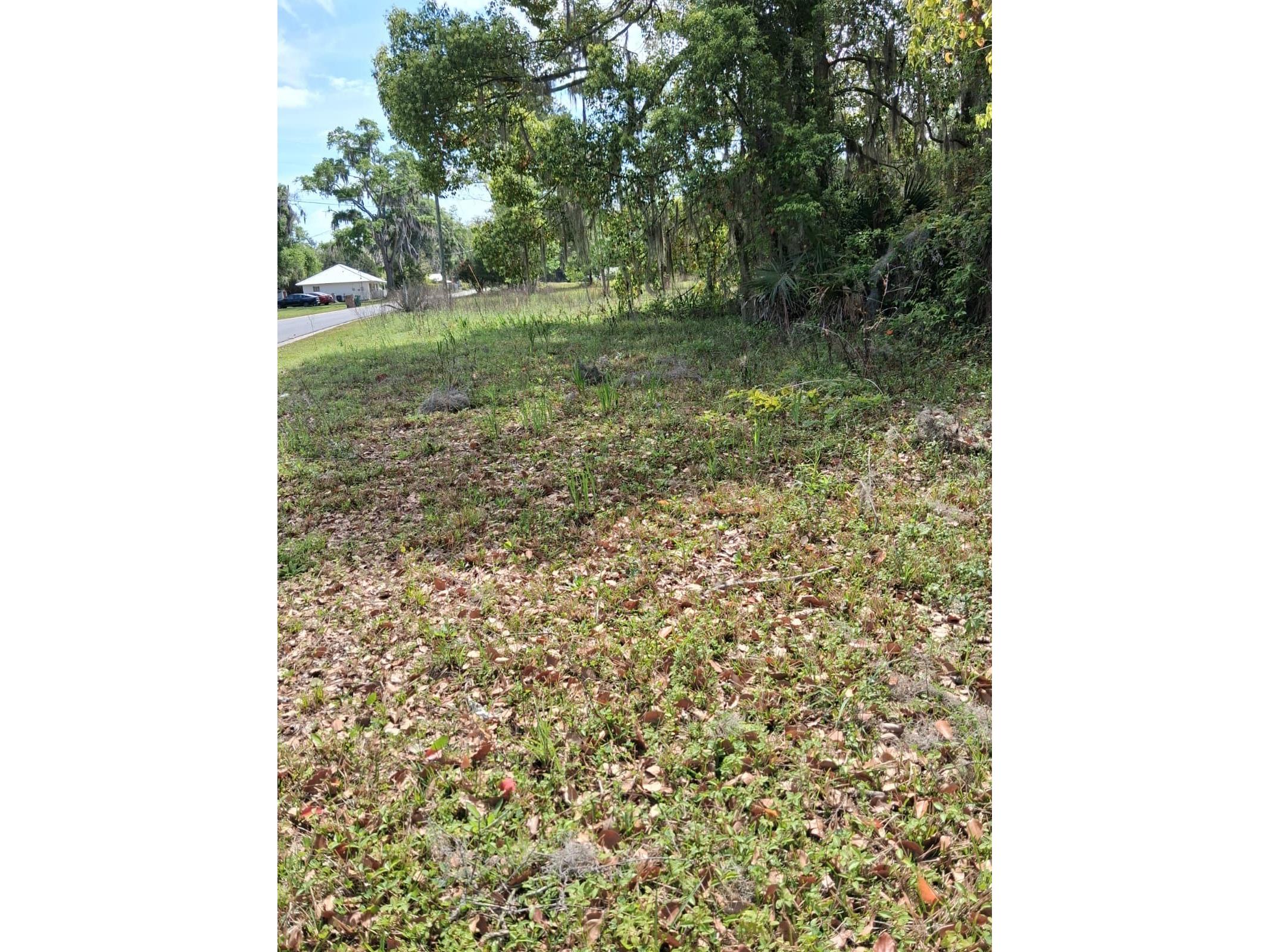 552 NE Gurley Avenue Lake City FL 32055 GC539604 image3
