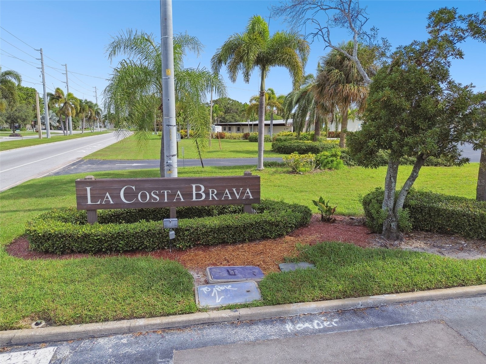 552 Plaza Seville Court #97 Treasure Island FL 33706 TB8517350 image39