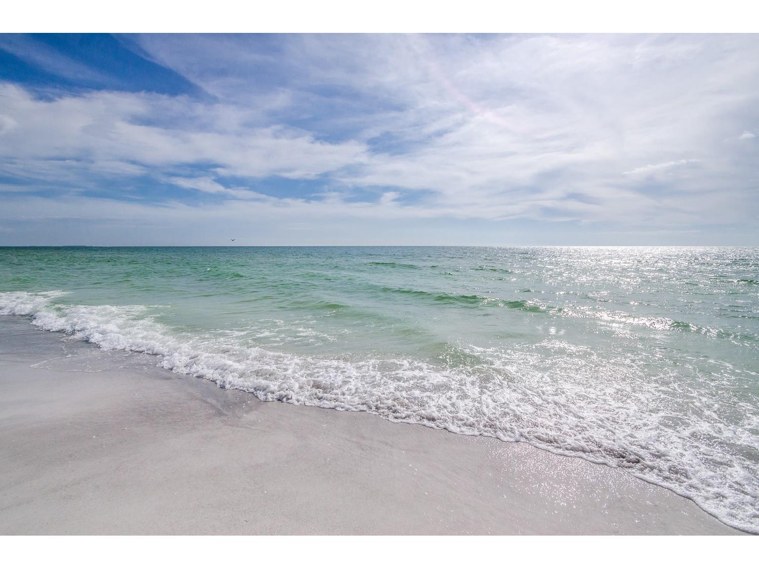 552 Plaza Seville Court #97 Treasure Island FL 33706 TB8517350 image48