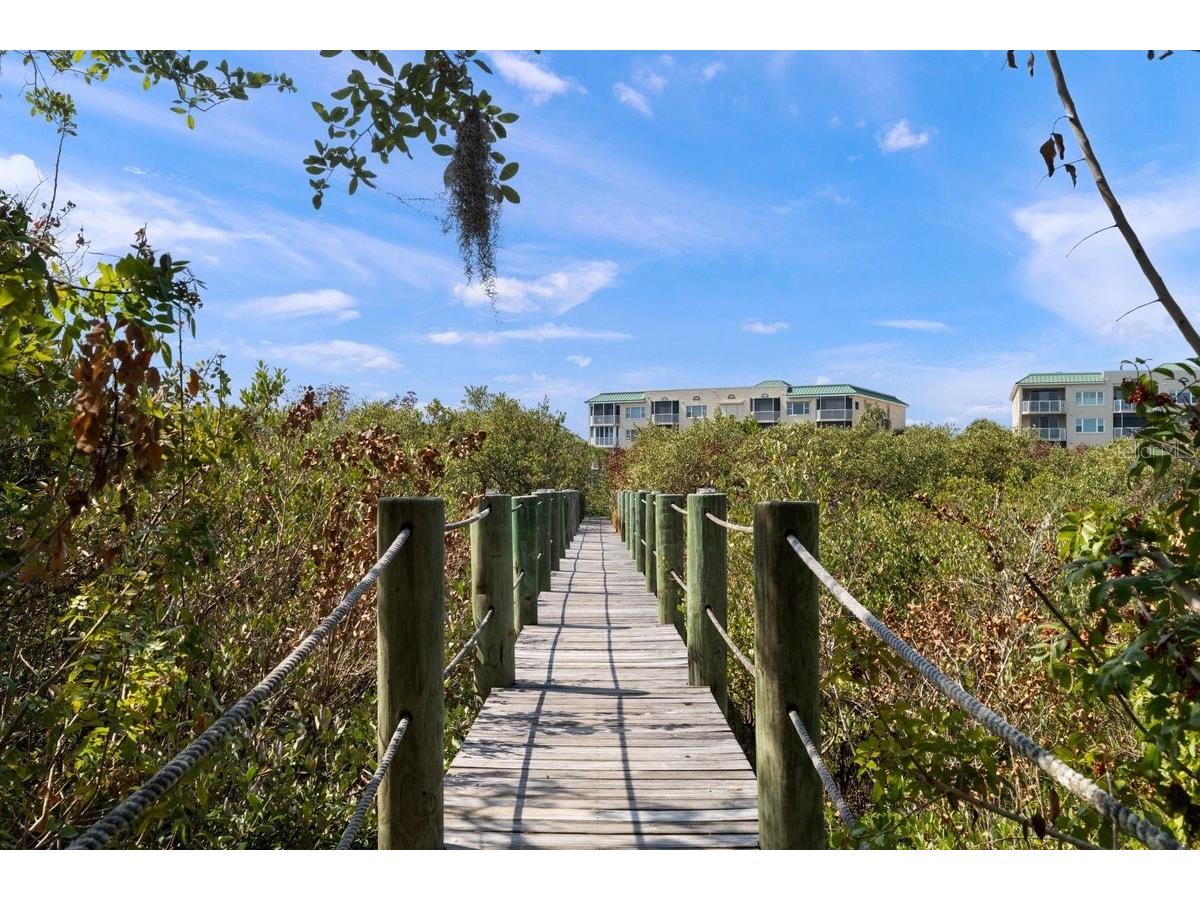 552 S Peninsula Avenue New Smyrna Beach FL 32169 NS1087459 image70