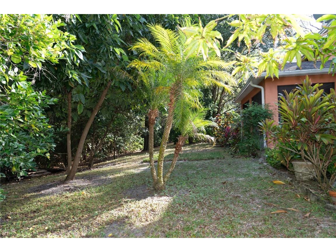 552 Teton Street Lake Mary FL 32746 O6363645 image38