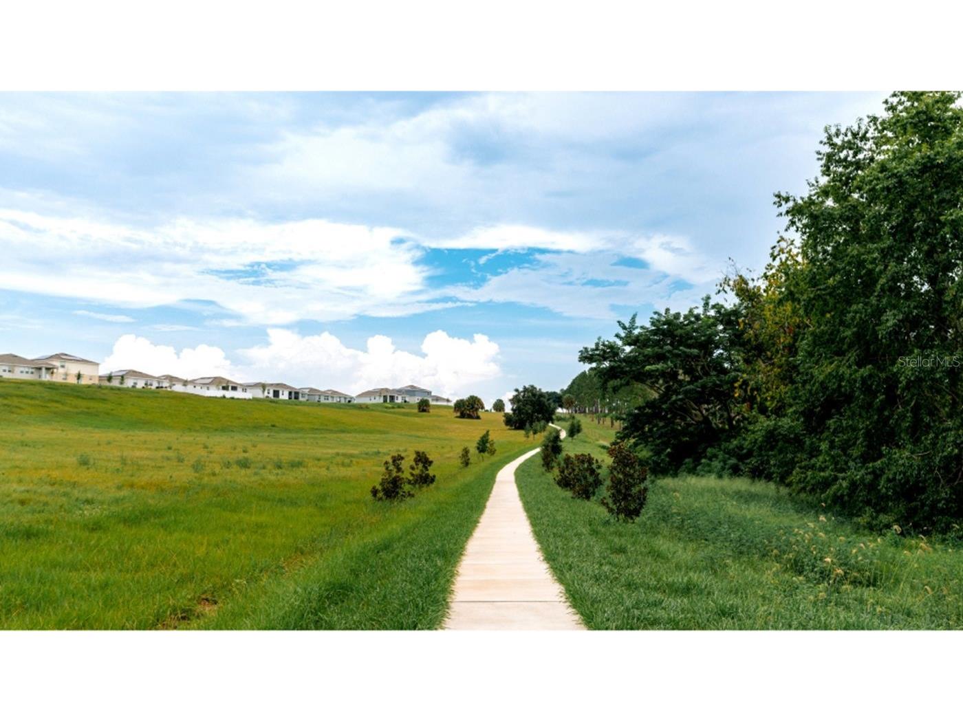 5520 Guava Court Kissimmee FL 34758 O6378338 image38