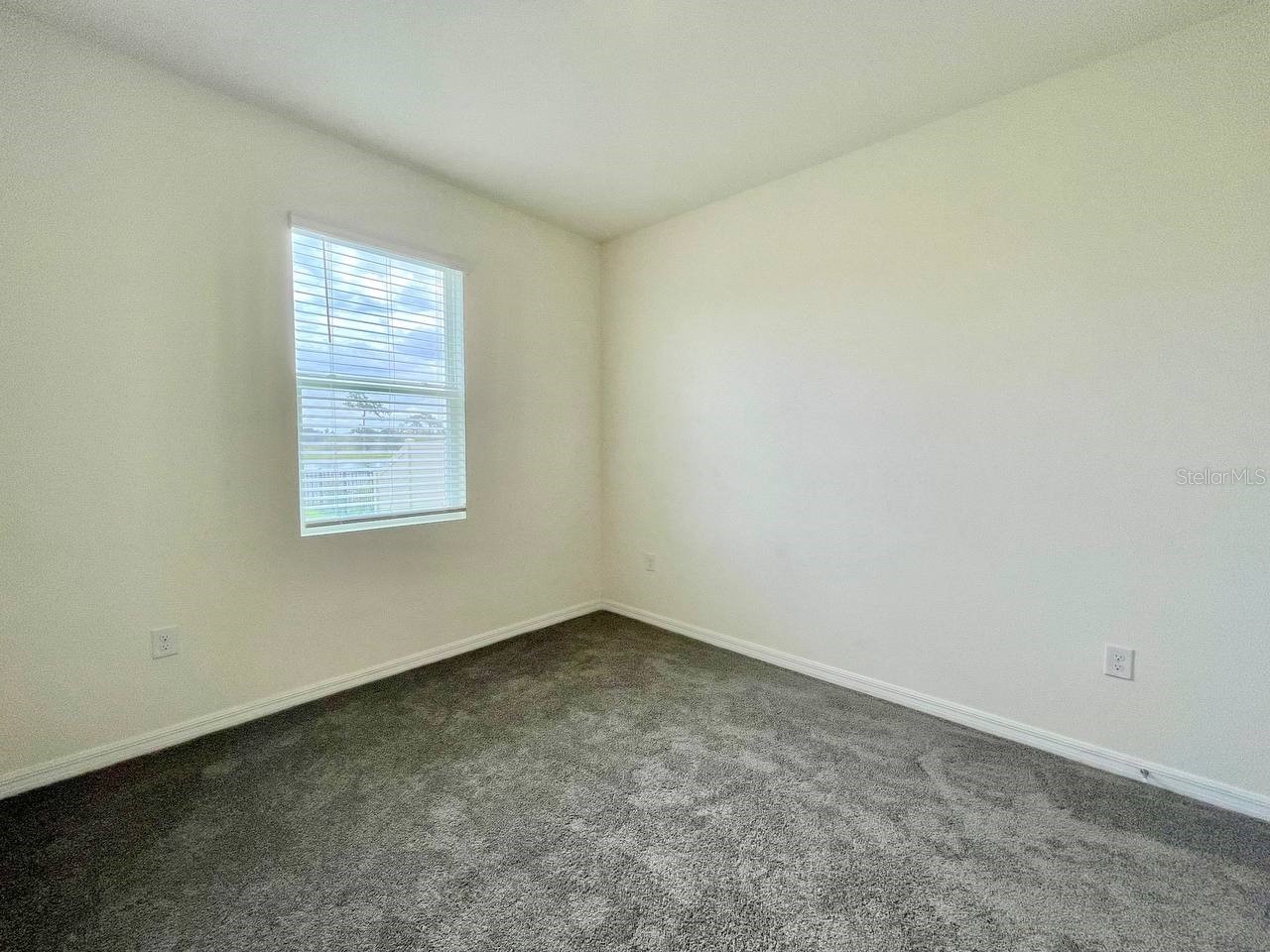 5520 Hollingworth Trail Wesley Chapel FL 33545 TB8526096 image17