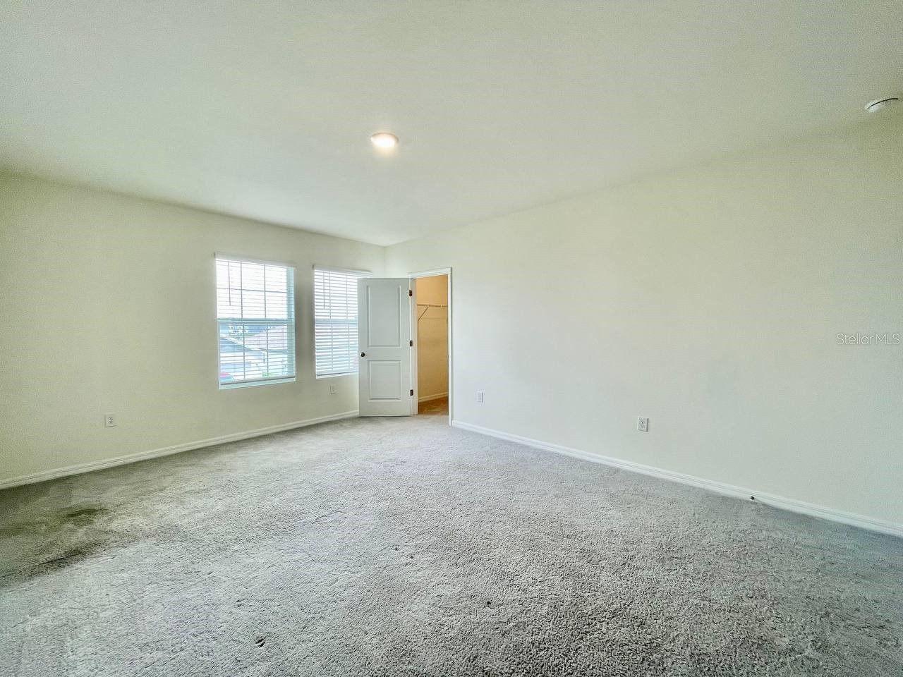 5520 Hollingworth Trail Wesley Chapel FL 33545 TB8526096 image38