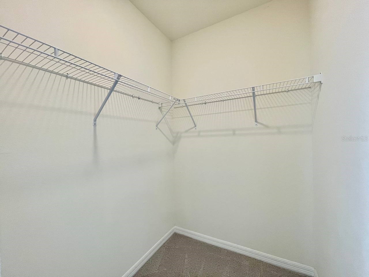 5520 Hollingworth Trail Wesley Chapel FL 33545 TB8526096 image40