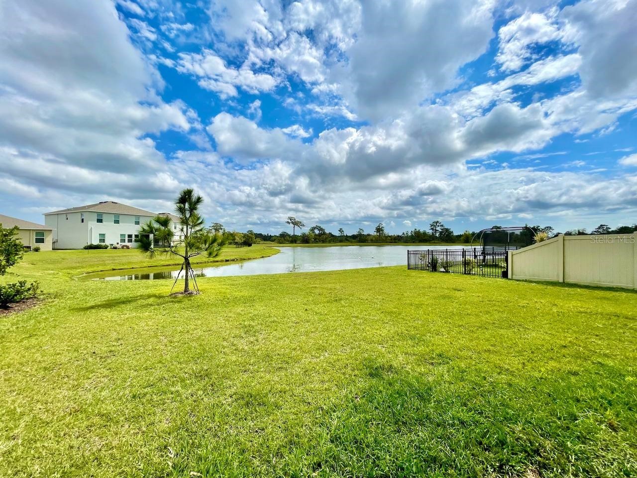 5520 Hollingworth Trail Wesley Chapel FL 33545 TB8526096 image45