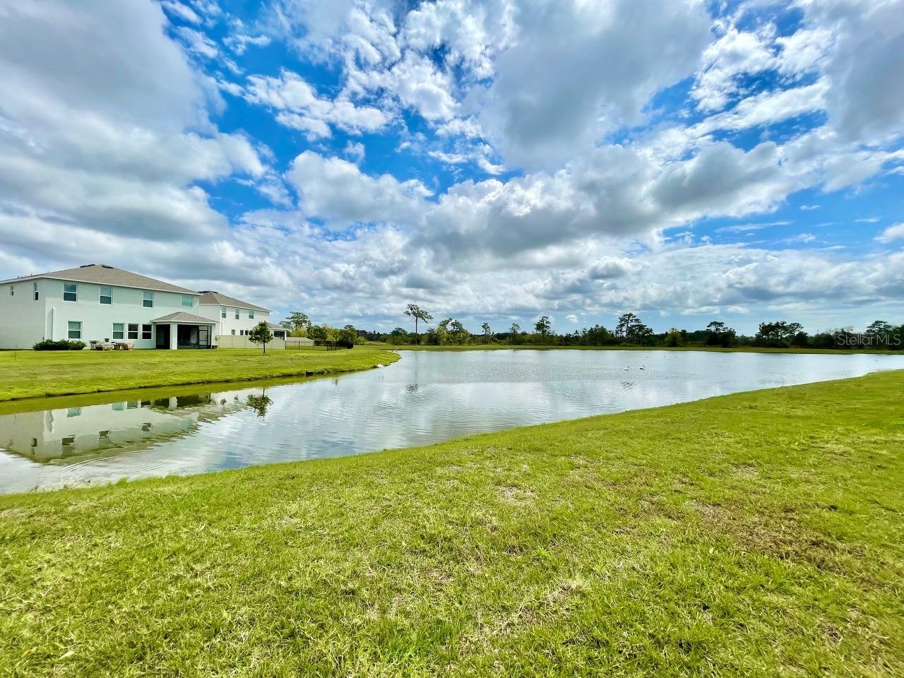 5520 Hollingworth Trail Wesley Chapel FL 33545 TB8526096 image46