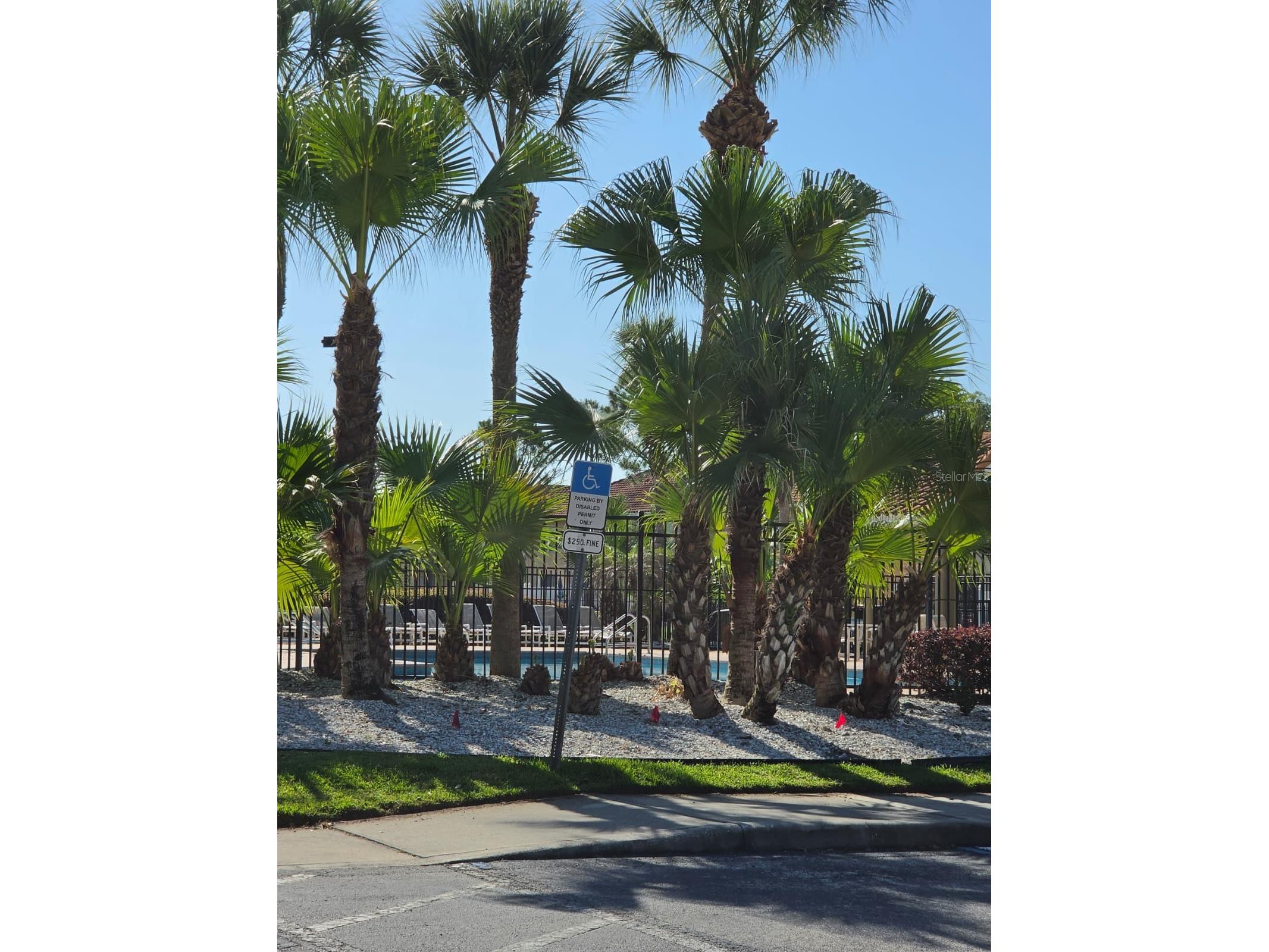 5520 Paradise Cay Circle Kissimmee FL 34746 S5149441 image34