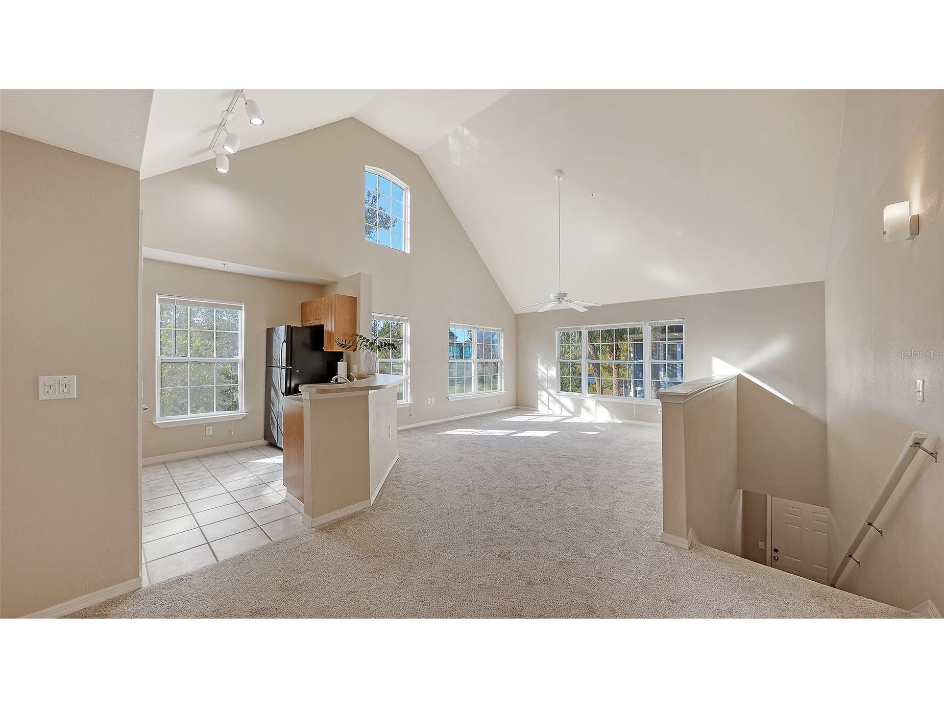 5520 Rosehill Road #203 Sarasota FL 34233 A4677482 image6