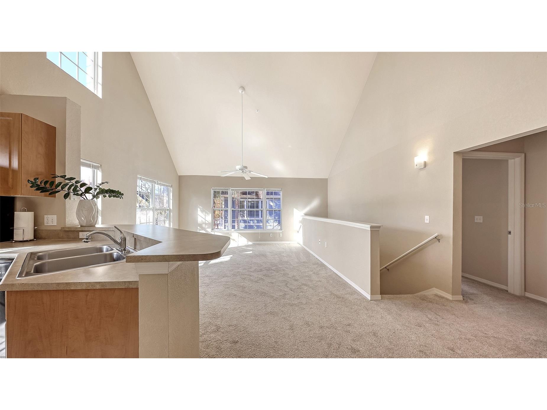 5520 Rosehill Road #203 Sarasota FL 34233 A4677482 image7