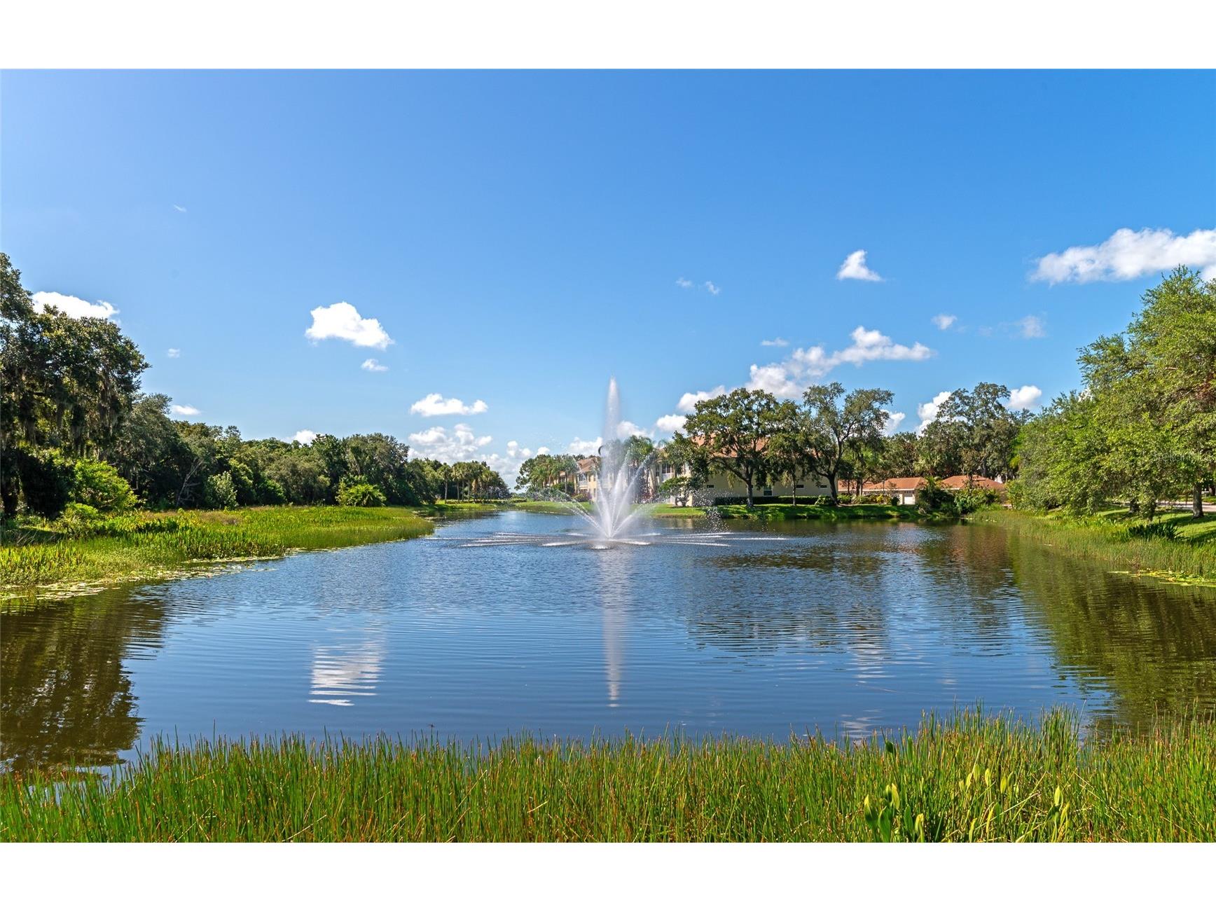 5520 Simonton Street Bradenton FL 34203 A4682507 image70