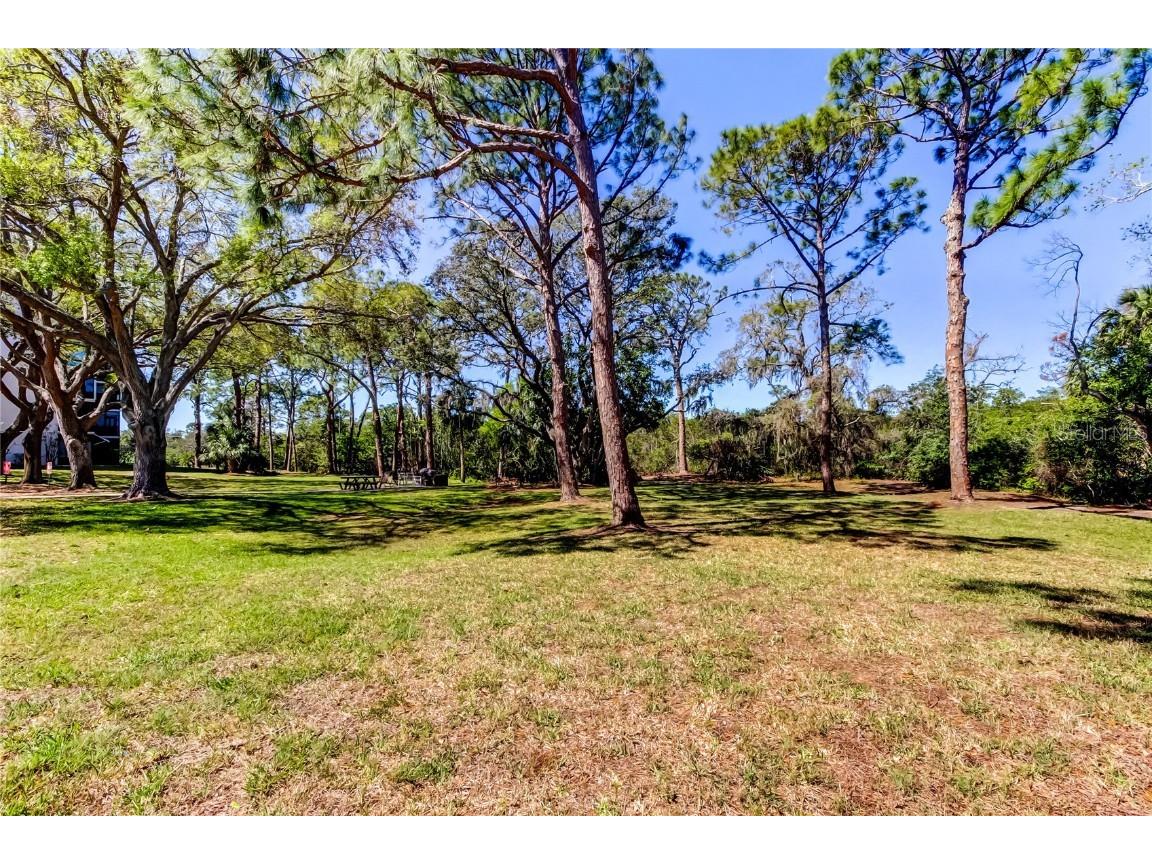 5521 80th Street N #315 Saint Petersburg FL 33709 TB8360044 image49