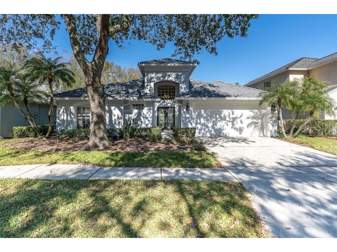 5521 Avenue Du Soleil Lutz FL 33558 T3501293 image1