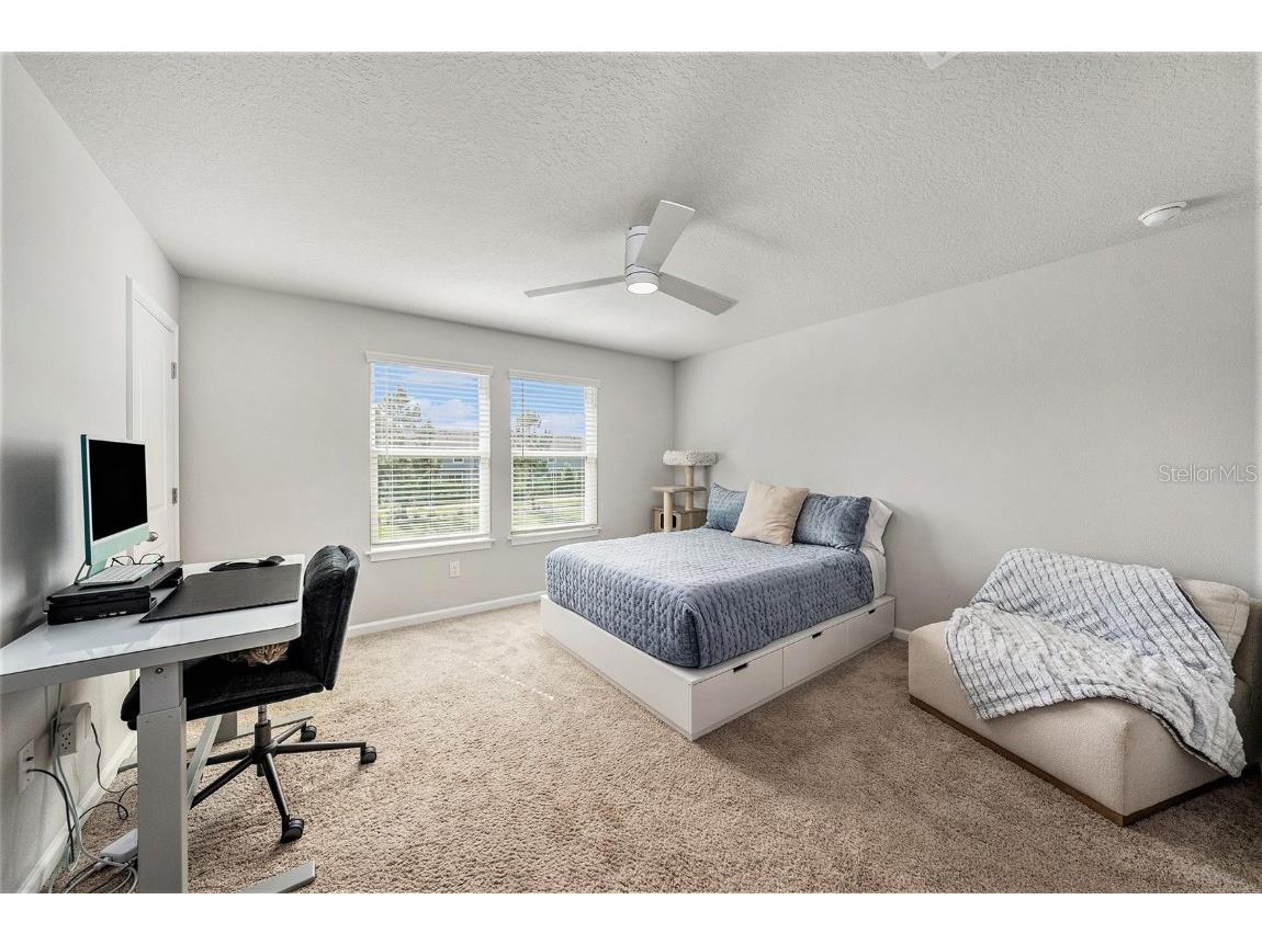 5521 Brooklet Woods Drive Wesley Chapel FL 33545 O6347491 image12