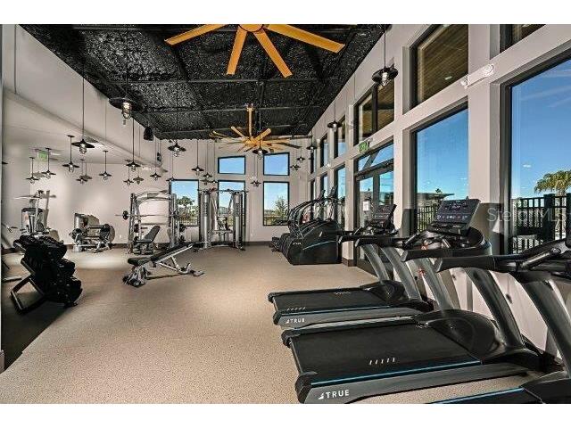 5521 Brooklet Woods Drive Wesley Chapel FL 33545 O6347491 image30