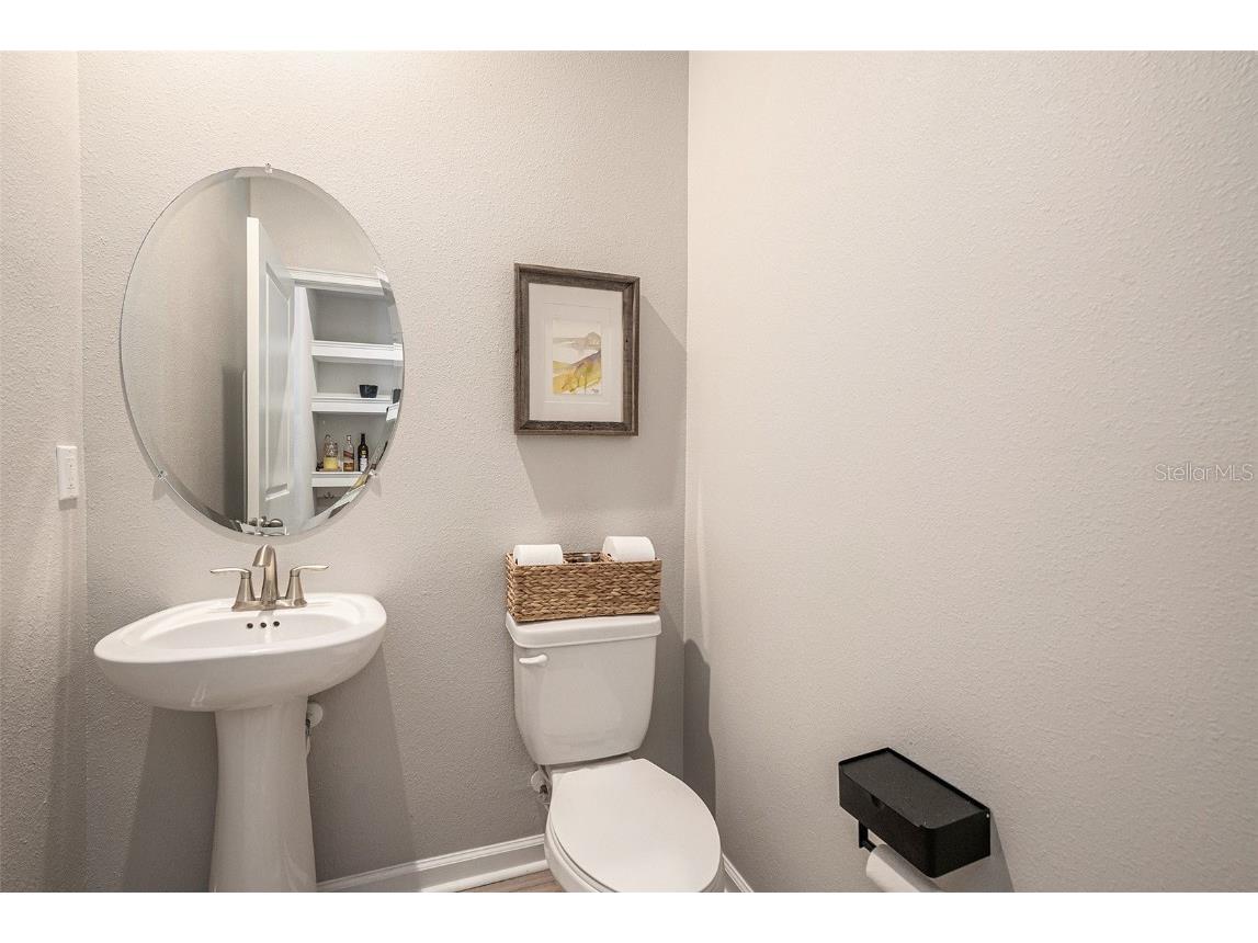 5521 Brooklet Woods Drive Wesley Chapel FL 33545 O6347491 image7