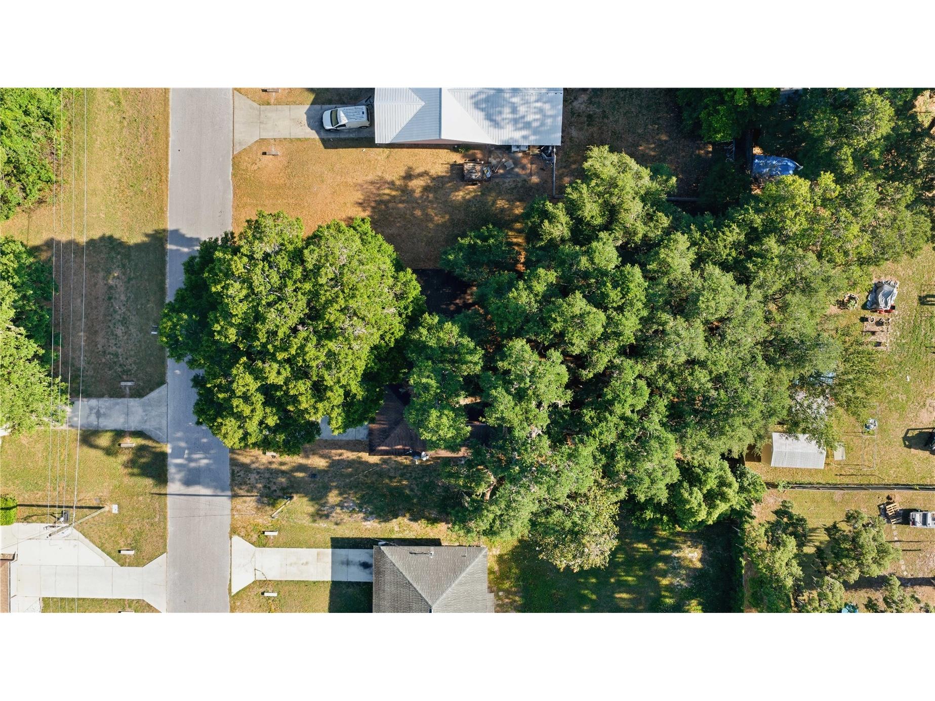 5521 NE 11th Avenue Ocala FL 34479 OM723447 image28