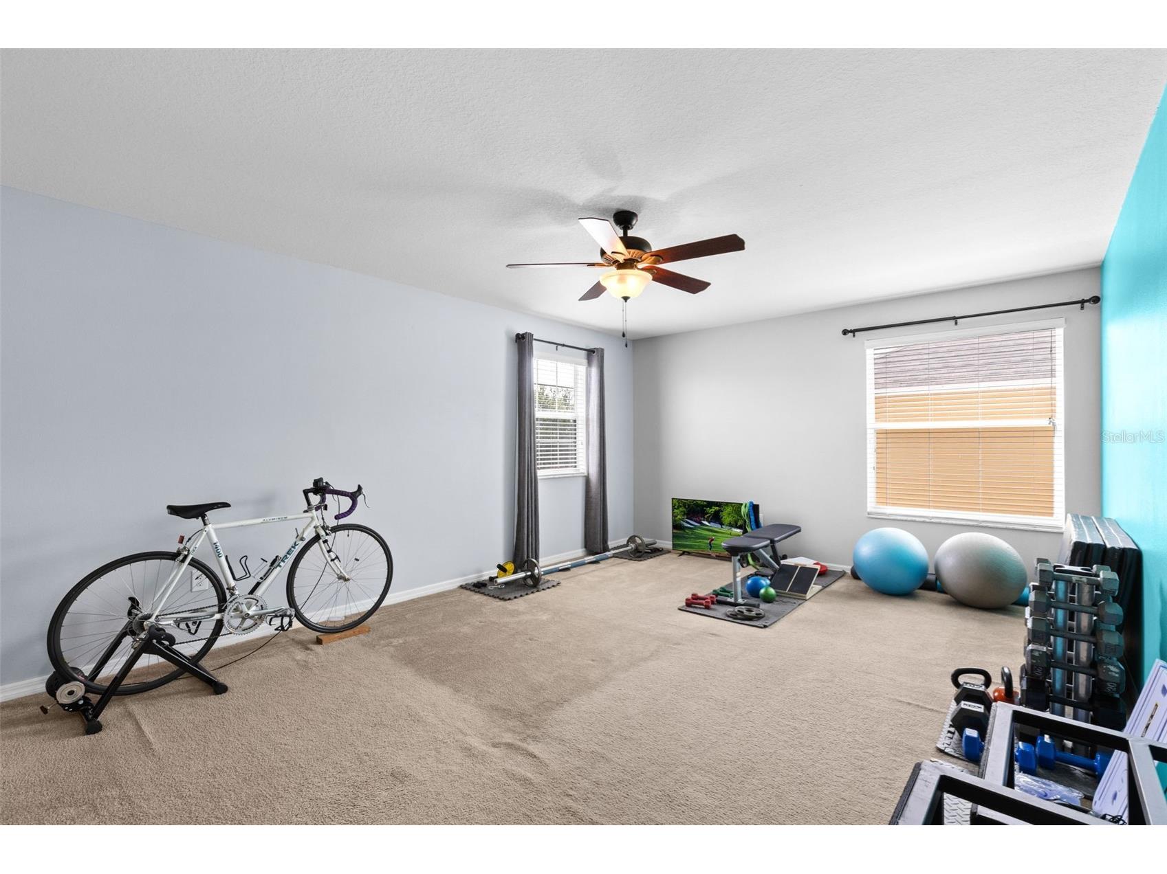 5521 Shasta Daisy Place Land O Lakes FL 34639 TB8508773 image18