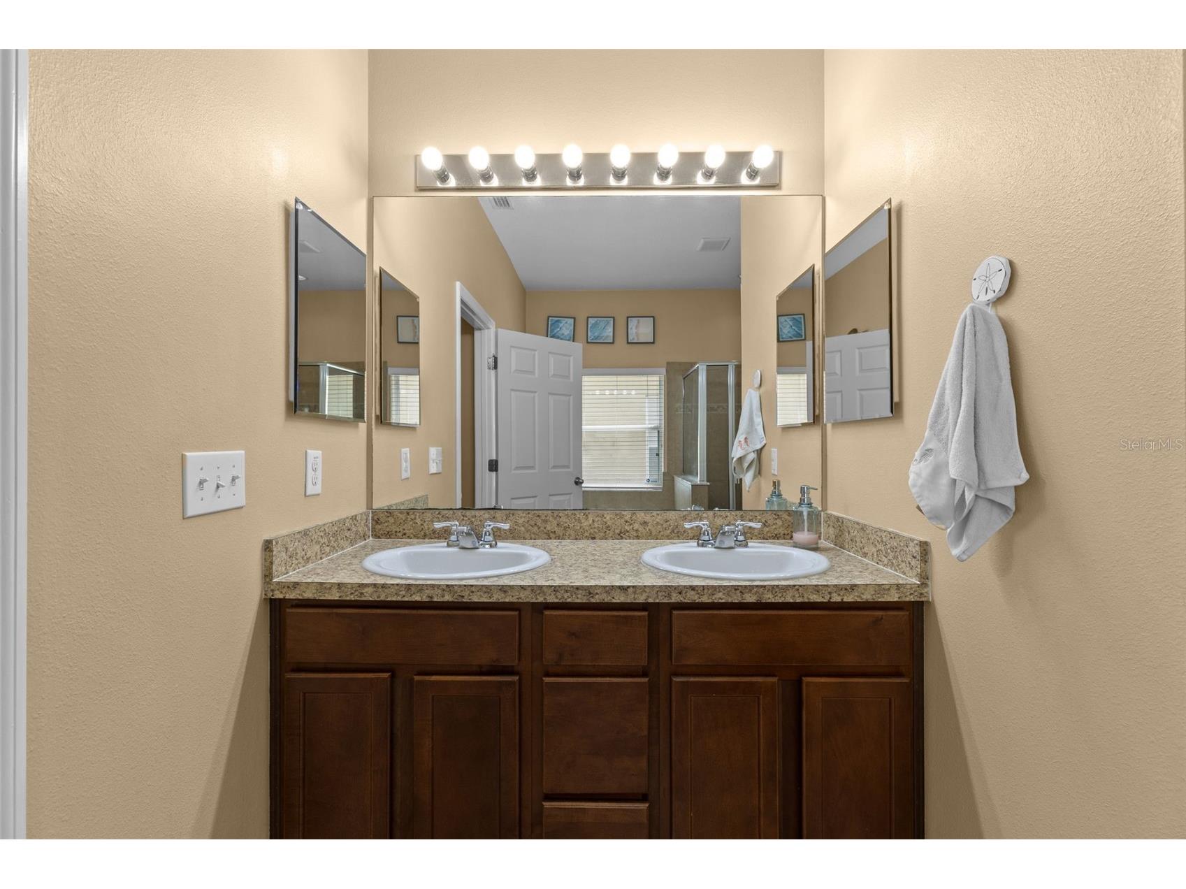 5521 Shasta Daisy Place Land O Lakes FL 34639 TB8508773 image33