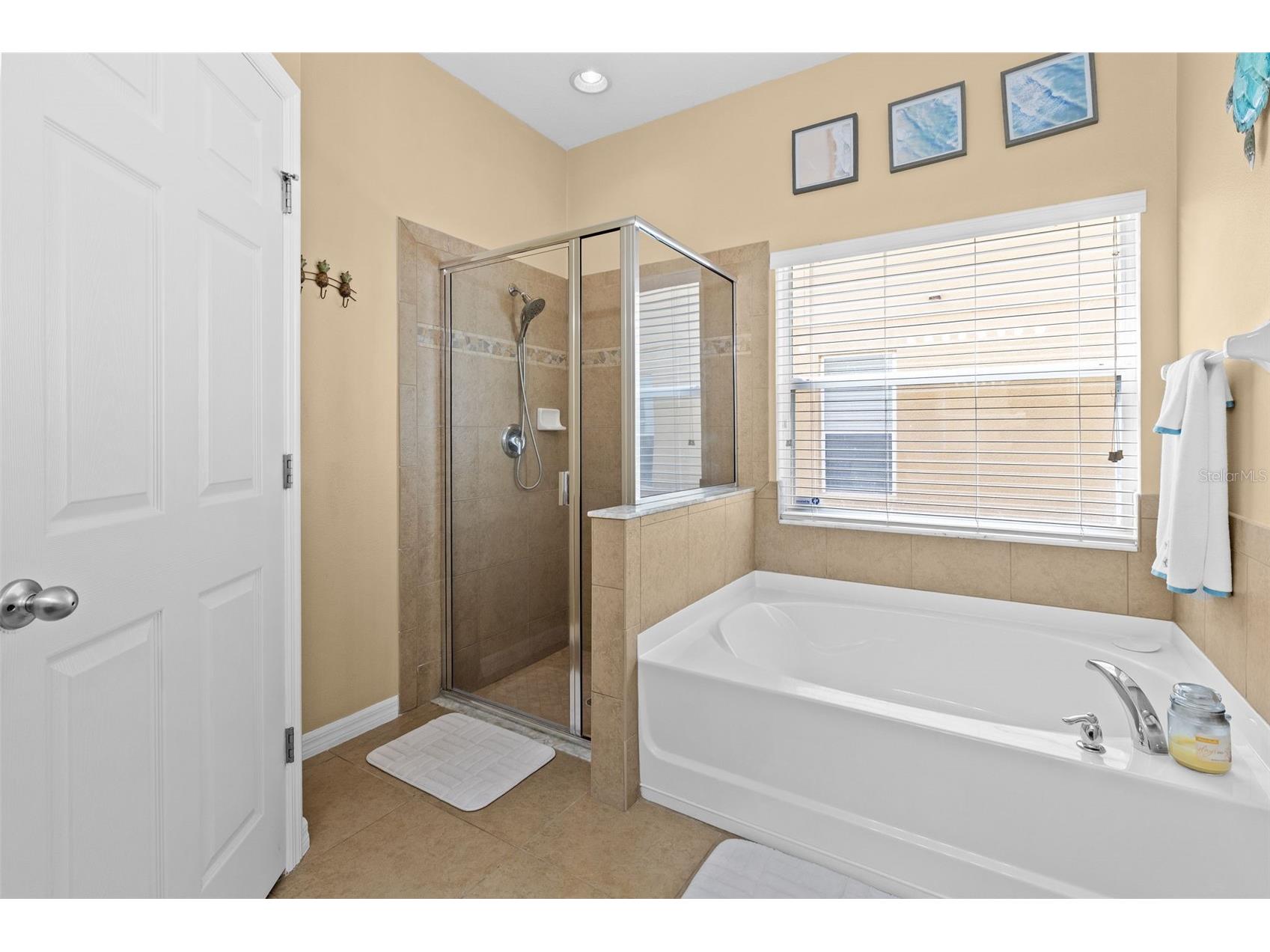 5521 Shasta Daisy Place Land O Lakes FL 34639 TB8508773 image34