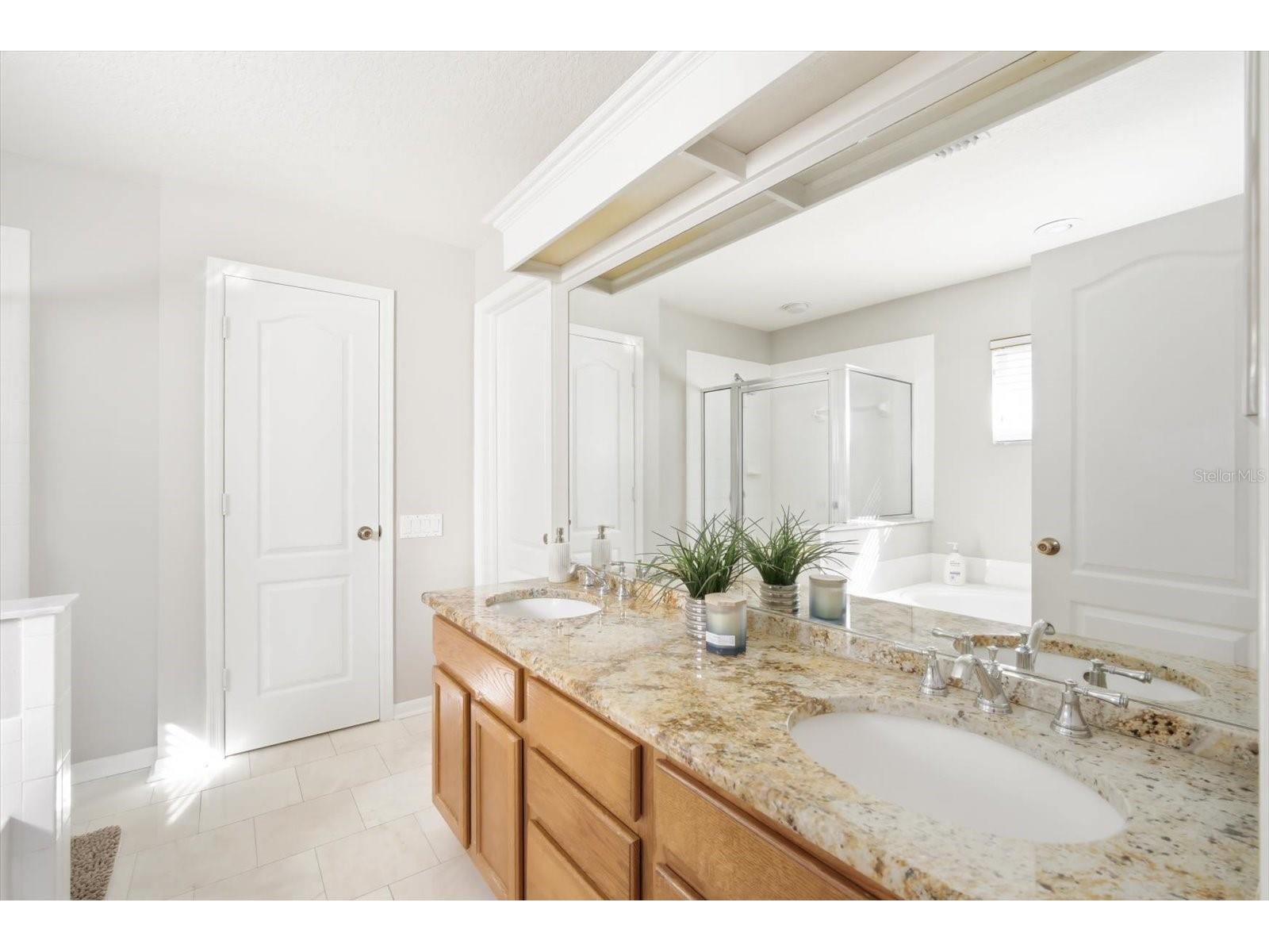 5522 Terrain De Golf Drive Lutz FL 33558 TB8470186 image14