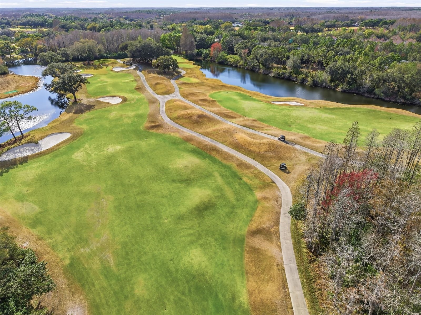 5522 Terrain De Golf Drive Lutz FL 33558 TB8470186 image28