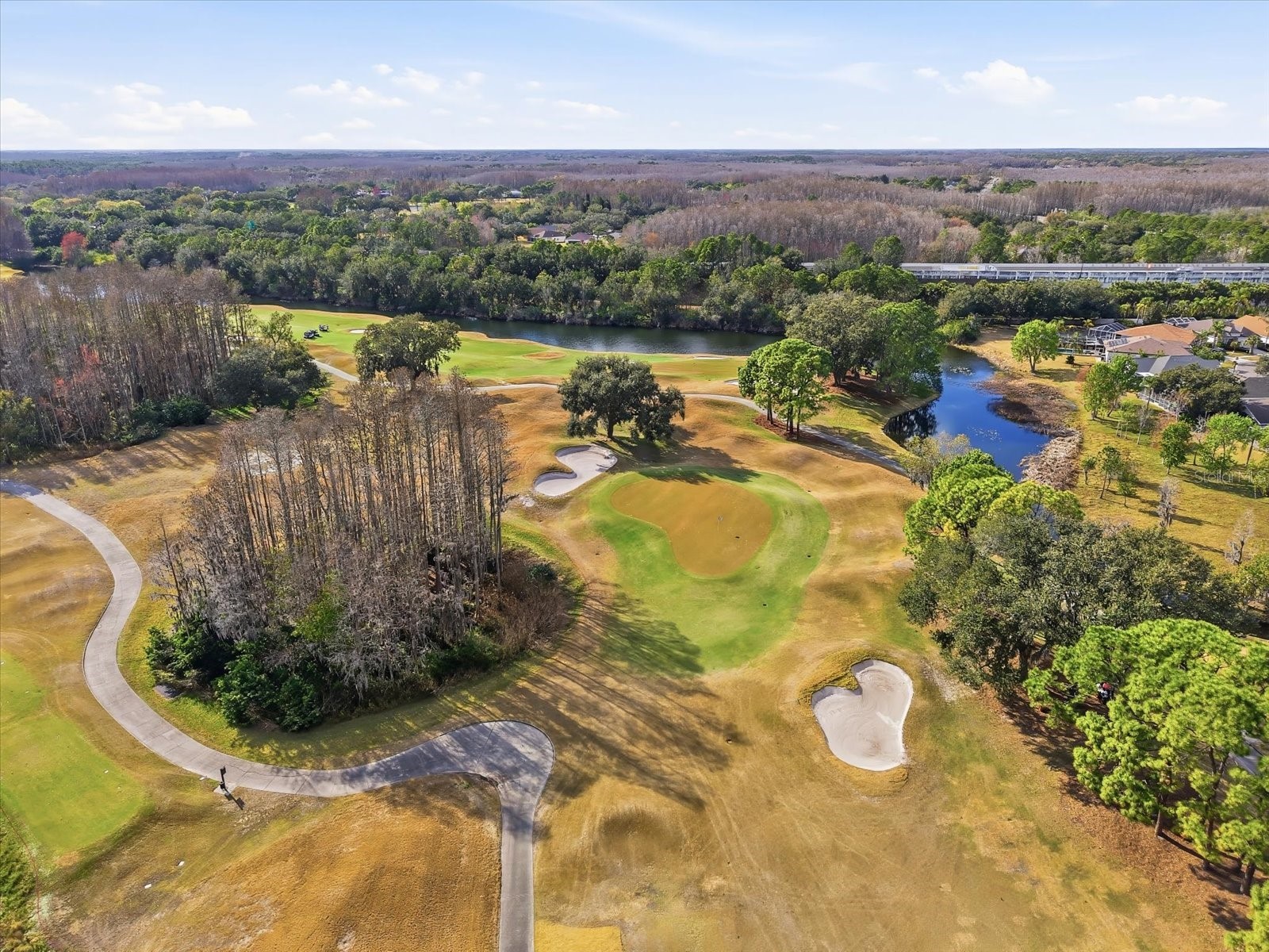 5522 Terrain De Golf Drive Lutz FL 33558 TB8470186 image29
