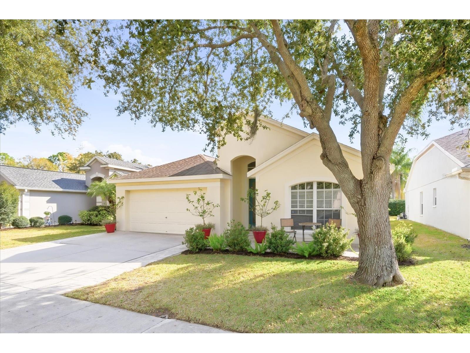 5522 Terrain De Golf Drive Lutz FL 33558 TB8470186 image3