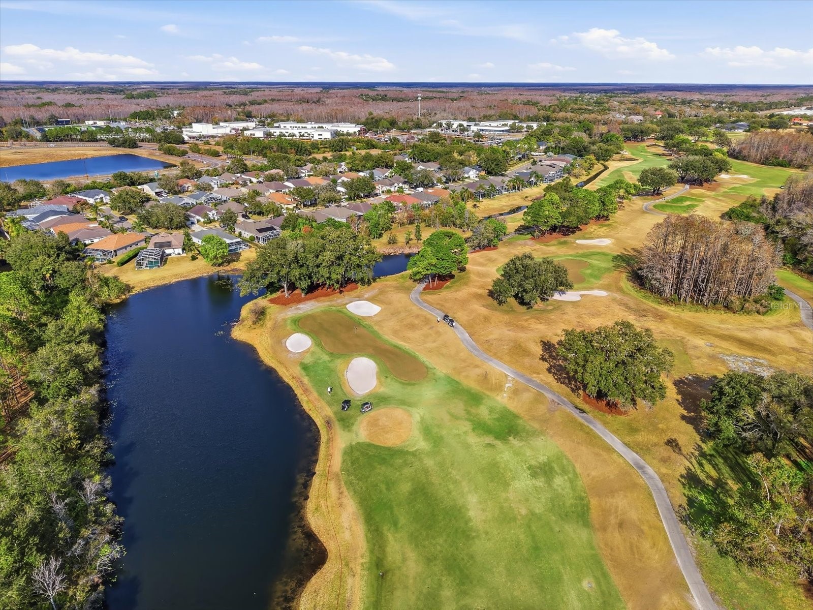 5522 Terrain De Golf Drive Lutz FL 33558 TB8470186 image31