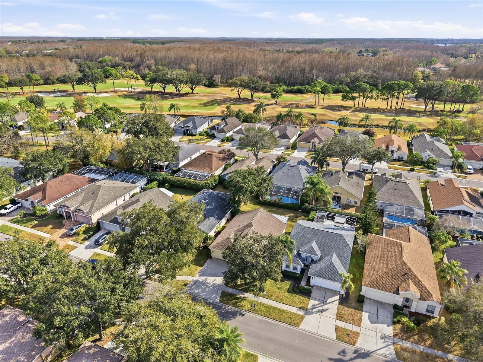 5522 Terrain De Golf Drive Lutz FL 33558 TB8470186 image4