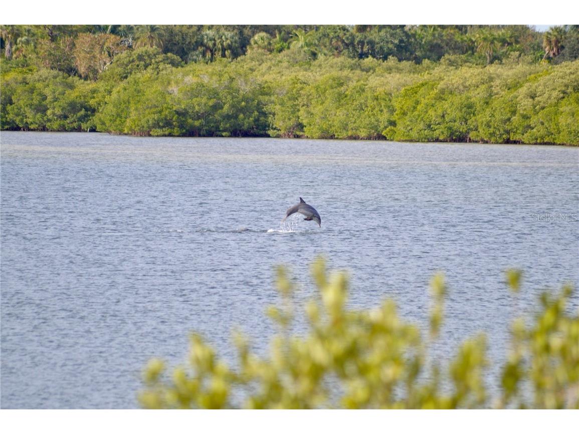 5523 2nd Avenue Circle W Palmetto FL 34221 TB8450560 image18