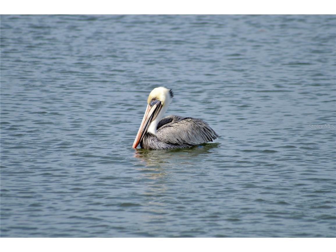 5523 2nd Avenue Circle W Palmetto FL 34221 TB8450560 image19