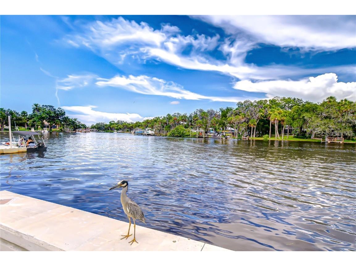 5523 Carlton Road New Port Richey FL 34652 W7877265 image24