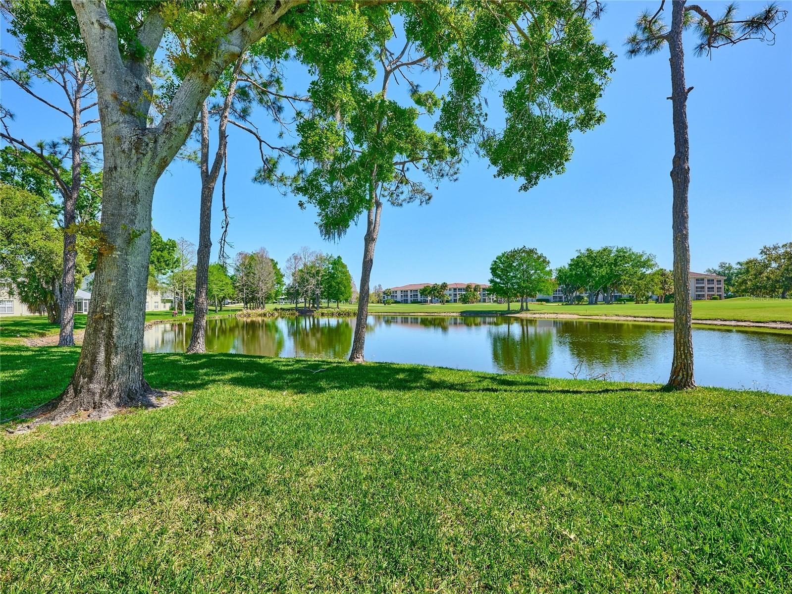 5523 Fair Oaks Street Bradenton FL 34203 C7523699 image12