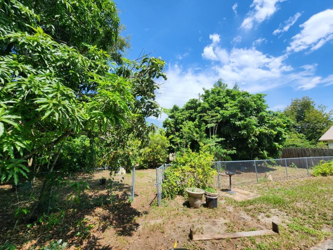 5523 Westview Drive Orlando FL 32810 A4695967 image6