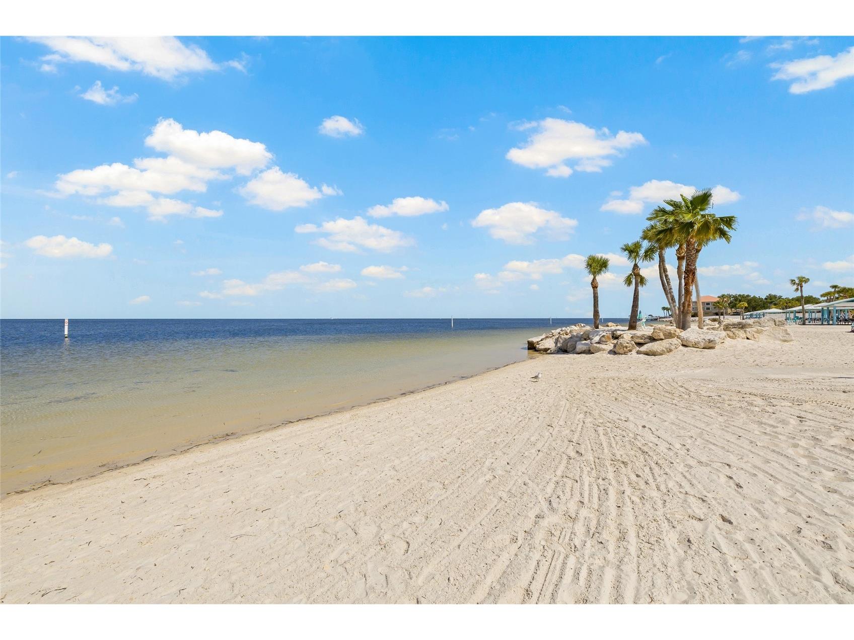 5523 Yellowfin Court New Port Richey FL 34652 TB8491569 image58