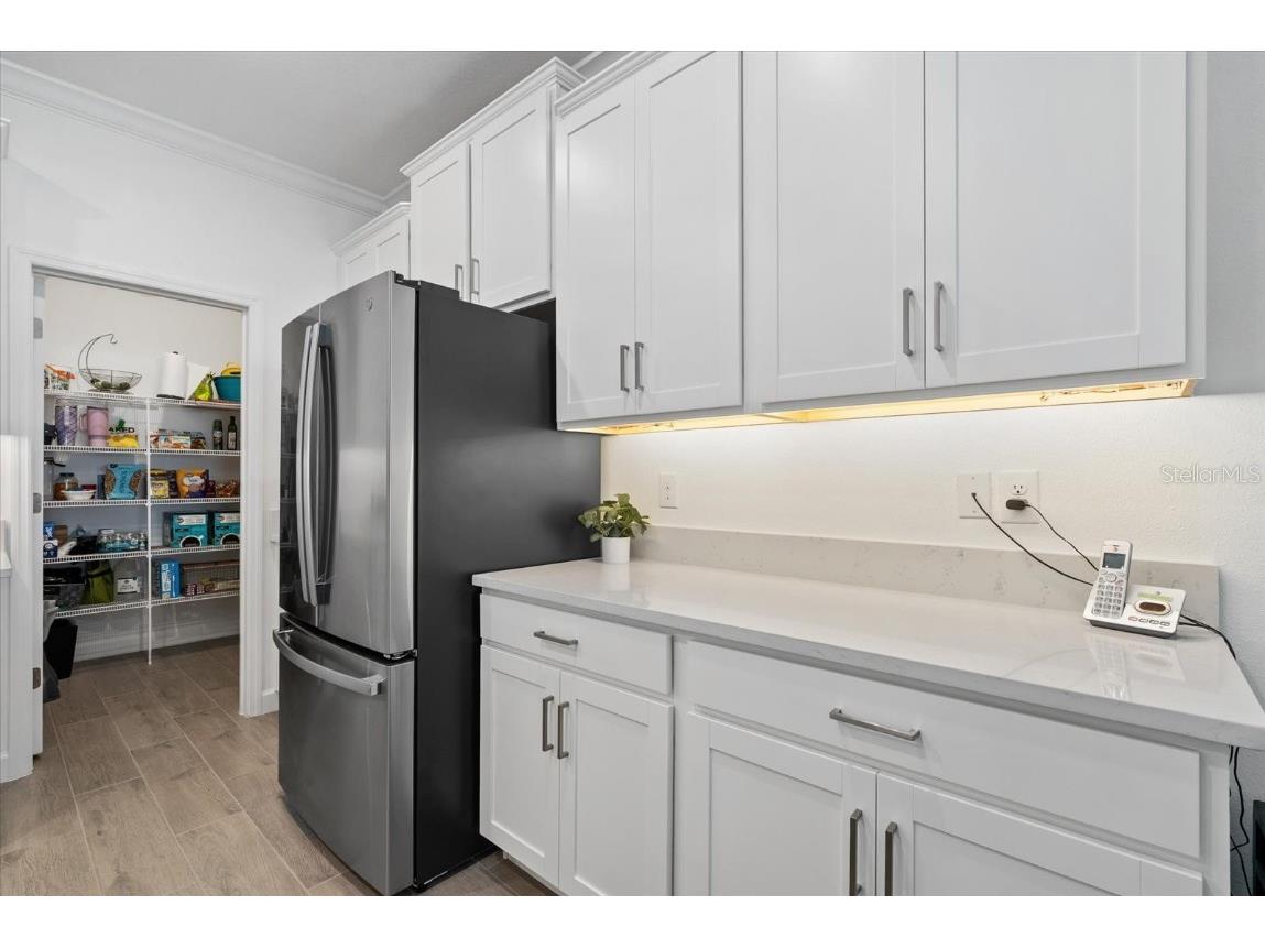 5524 Little Path Drive Wimauma FL 33598 A4671104 image10