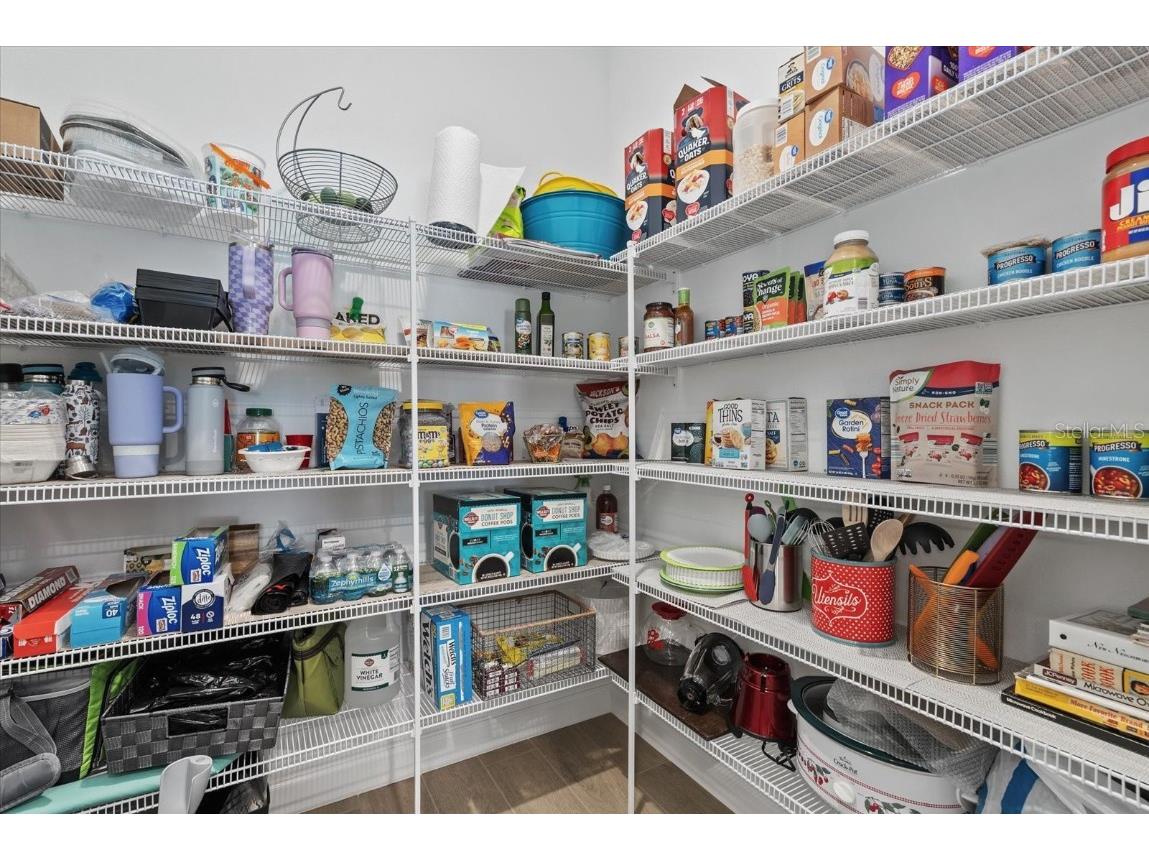 5524 Little Path Drive Wimauma FL 33598 A4671104 image11