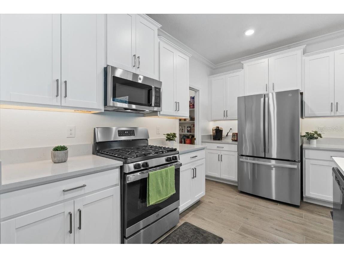 5524 Little Path Drive Wimauma FL 33598 A4671104 image12