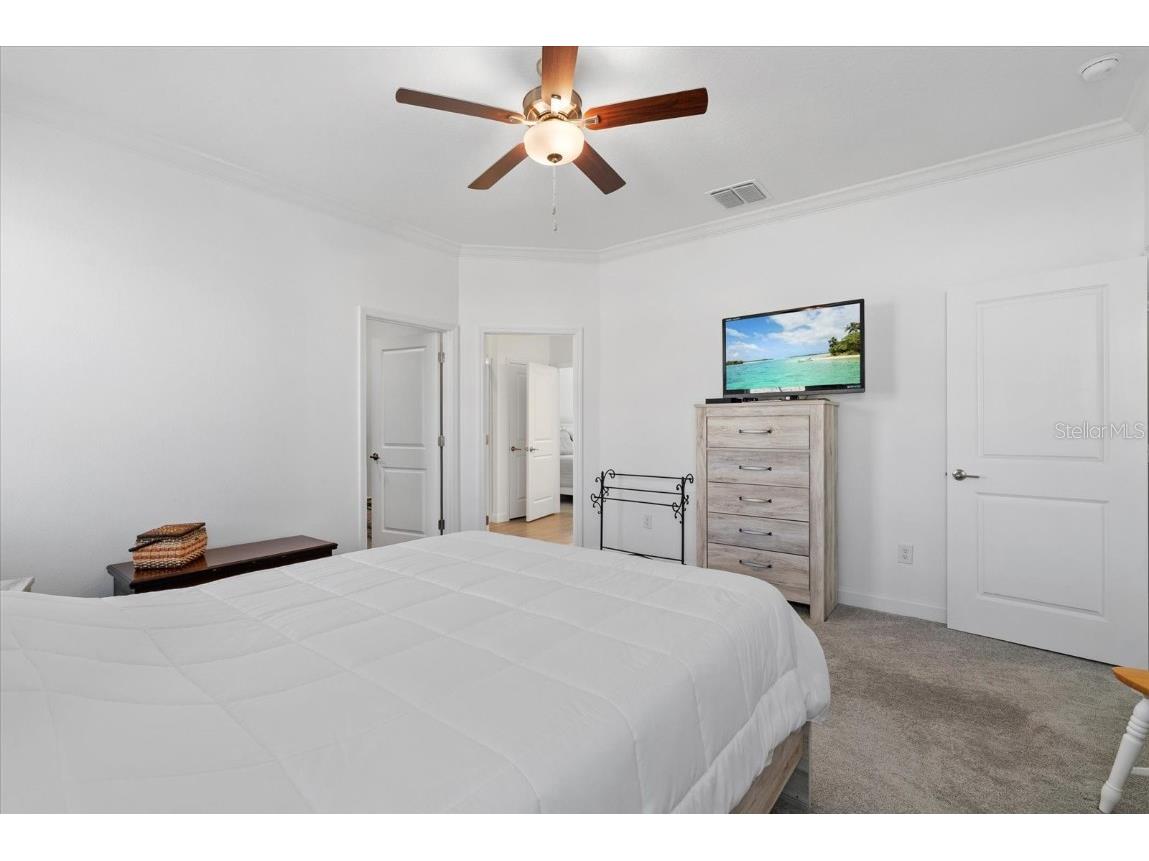 5524 Little Path Drive Wimauma FL 33598 A4671104 image23