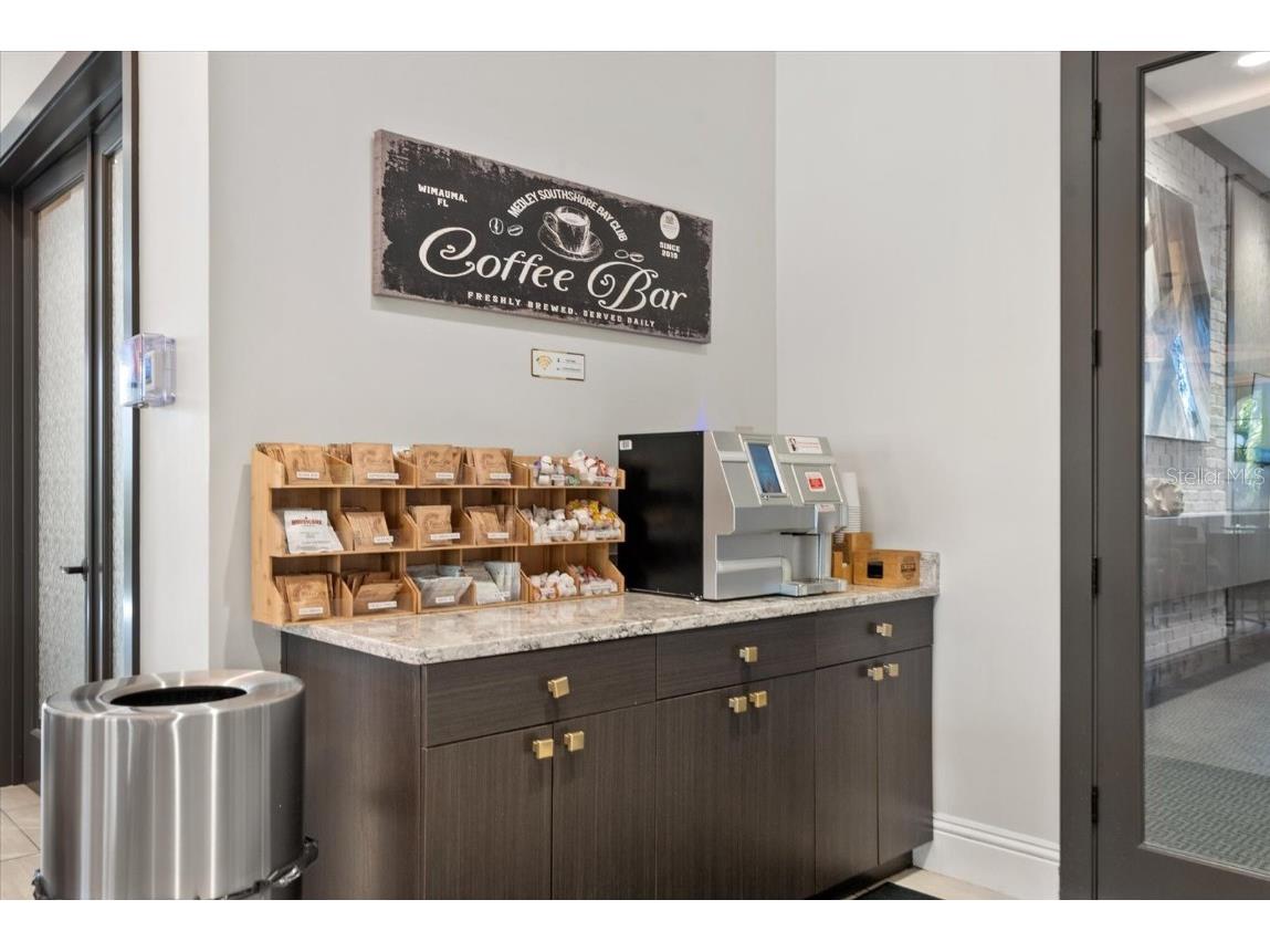 5524 Little Path Drive Wimauma FL 33598 A4671104 image46