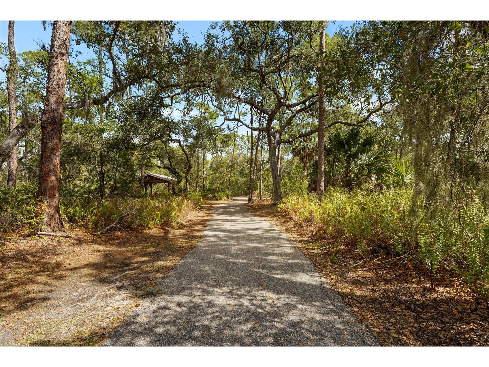 5524 Palm Aire Drive #5524 Sarasota FL 34243 A4681925 image64