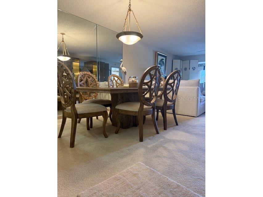 5525 Ashton Lake Drive #5525 Sarasota FL 34231 - SUNNYSIDE LAKE A4679525 image6