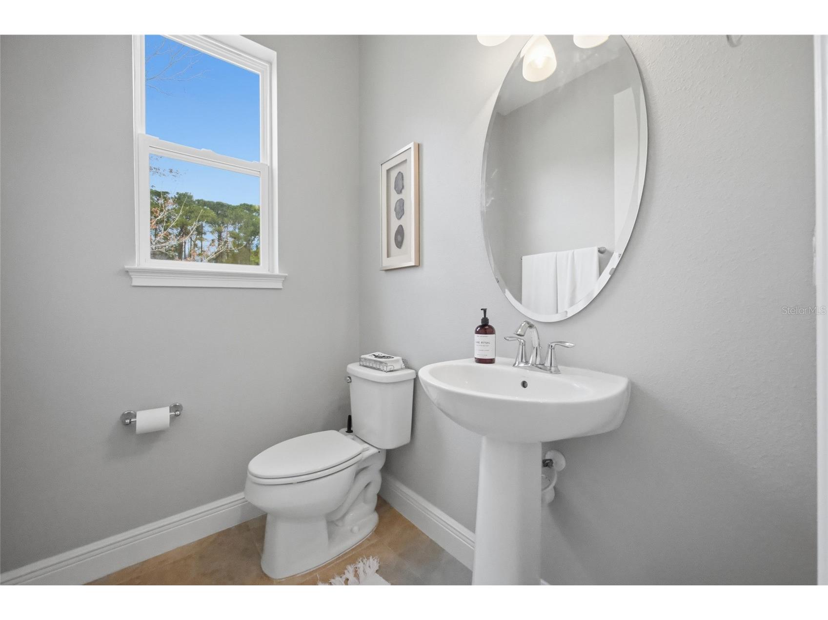 5525 Cumberland Star Court Lutz FL 33558 TB8484149 image28