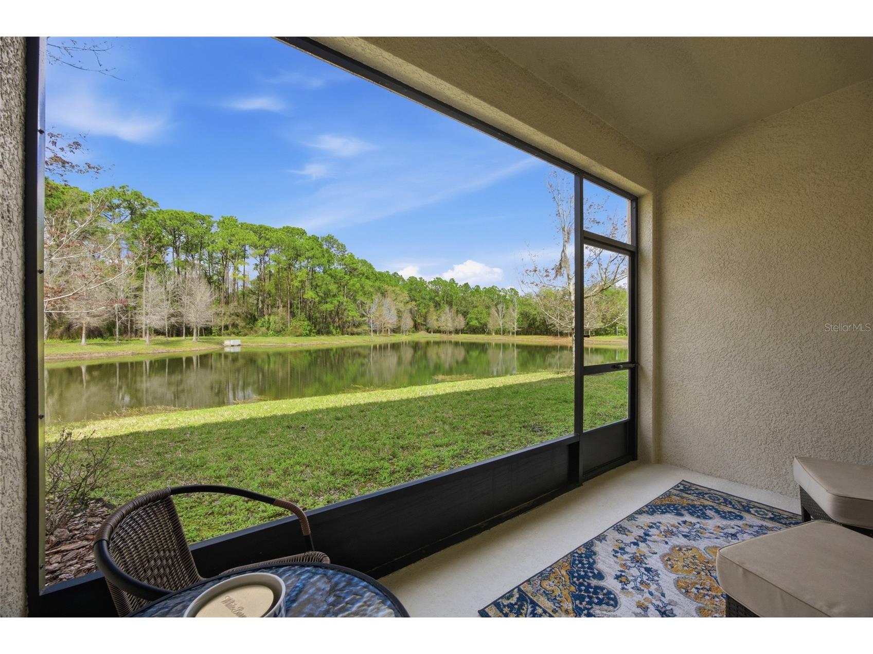 5525 Cumberland Star Court Lutz FL 33558 TB8484149 image30