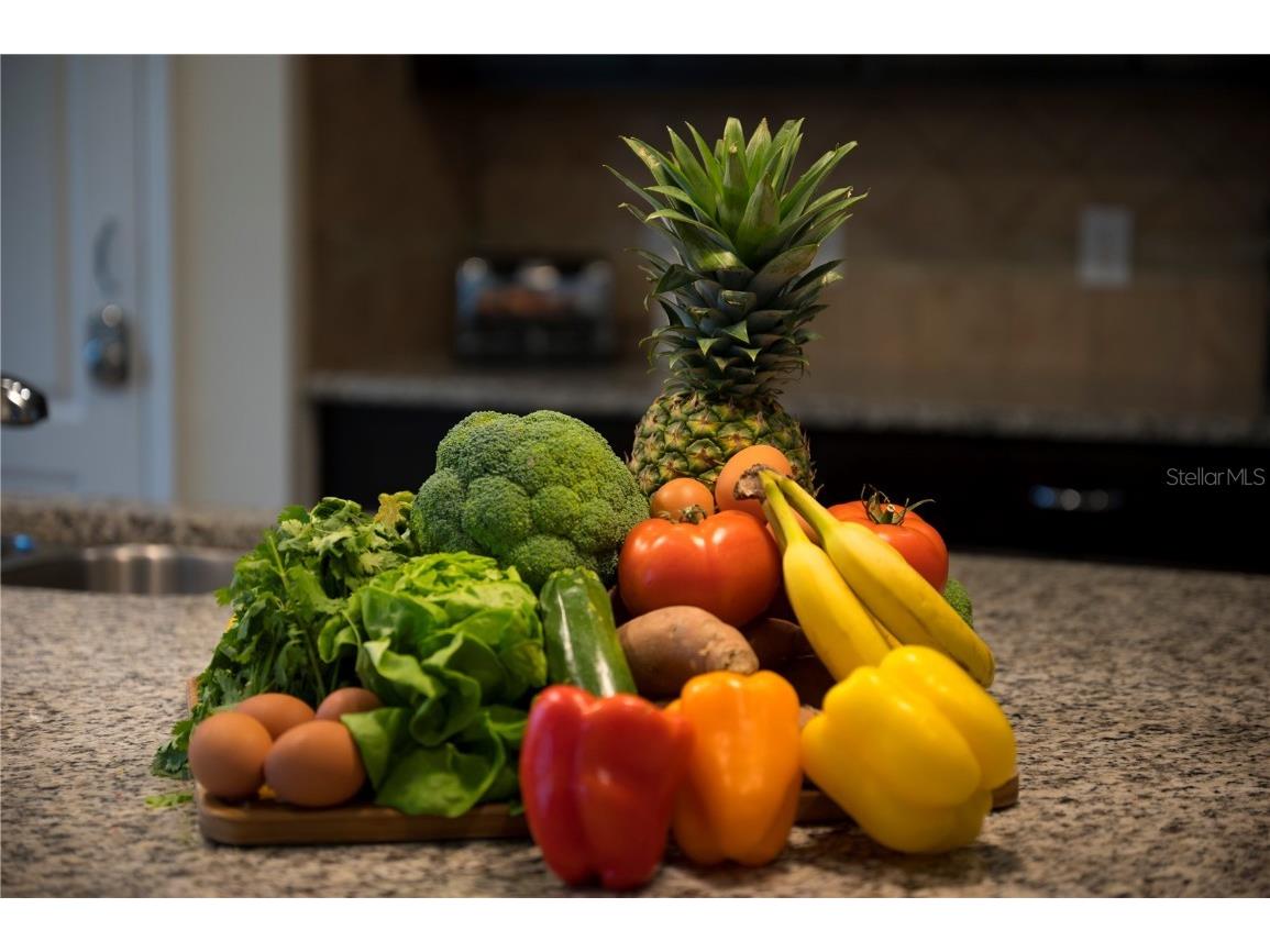 5525 Misty Oak Circle Davenport FL 33837 O6338615 image22