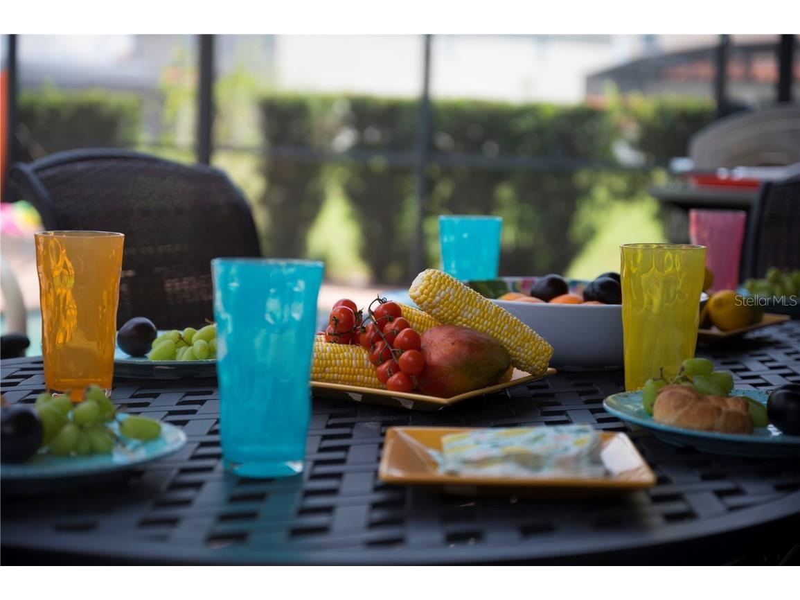 5525 Misty Oak Circle Davenport FL 33837 O6338615 image27